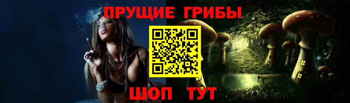 Галлюциногенные грибы GOLDEN TEACHER  Вход с VPN  Нижний Тагил 